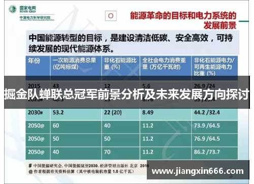 掘金队蝉联总冠军前景分析及未来发展方向探讨